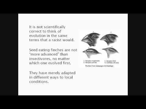What's Wrong with the Creationist Argument from Improbability 3