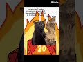 the power of the nat 20 #meme #cat #catmemes #funny #dnd #dice #vtuber #silly