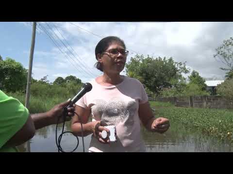 BEWONERS DOEBEPROJECT HEBBEN TE KAMPEN MET ERNSTIG WATEROVERLAST - TBN PRIME ALERT 08 JUNI 2022