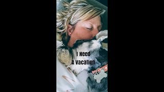 How I Get Ready For The Dog Sitter |  Magnum Get's A Slow Feed Bowl | Mail From Subscriber's