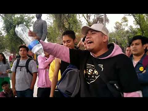 Thomson // Silver // Crydd // Octavos