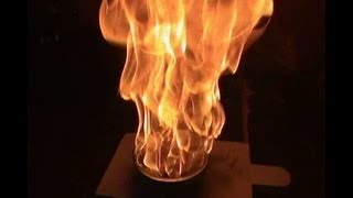 RHNB-Ping Pong Balls