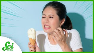 Why Biting Ice Cream Hurts So Bad