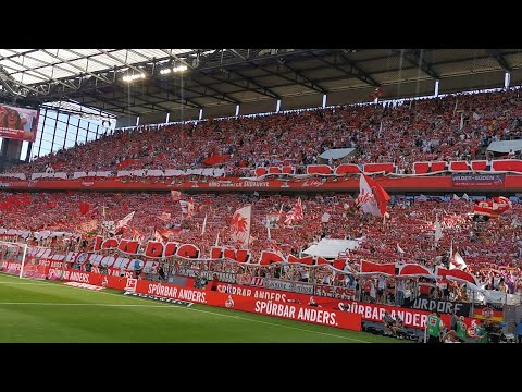 Hymne 1. FC Köln 🔴⚪ "Mer stonn zo dir, FC Kölle"