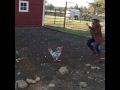 Woman Gets Chased By Chicken