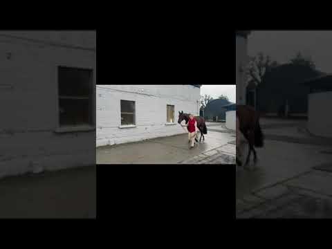 Video 1