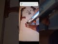 Desi Katta 12 Bor
