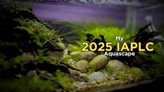 IAPLC 2025 Contest Tank Build | Step-by-Step Aquascape for Competition