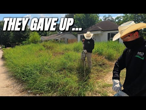 They Tried to Bring It Back to Life… Then Walked Away