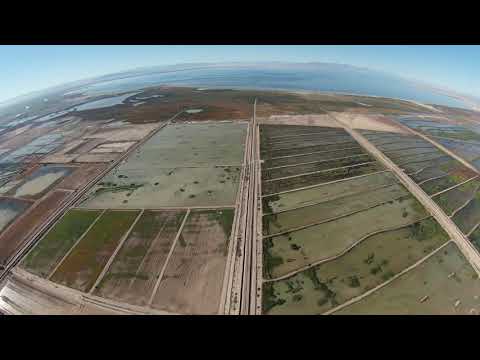 Experience the stunning aerial view of Wister Hunting Unit like never before! 🚁🐦