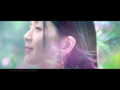 Belgravia Place Youtube Video