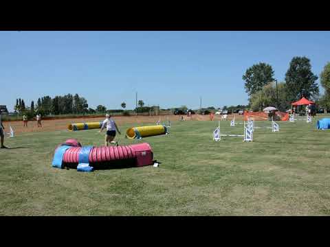 B.Fly Agility Team - Monori Móka válogatás :)