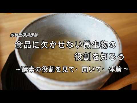 【オープンキャンパスダイジェスト】2017.11.23 大学説明会