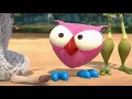 Owl And The Owl Co The Egg Owl And The Paparazzi