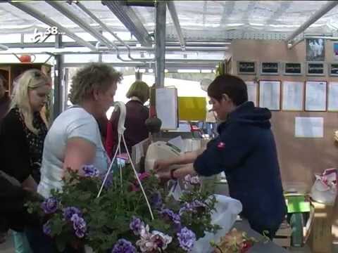 Salzgitter vor Ort 06/2015