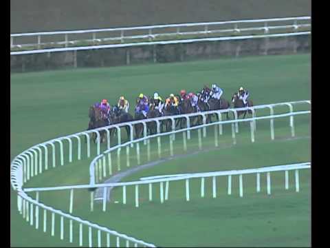 Committee's Prize 2010 (Always Certain)