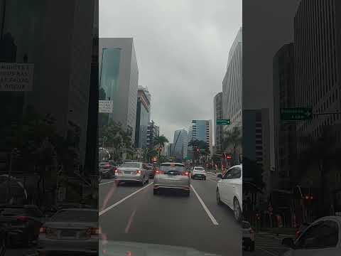 são Paulo capital paulista