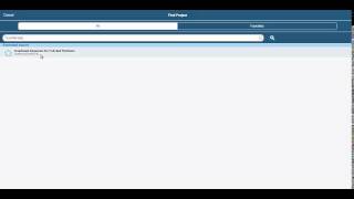 Deltek Touch Expense Application