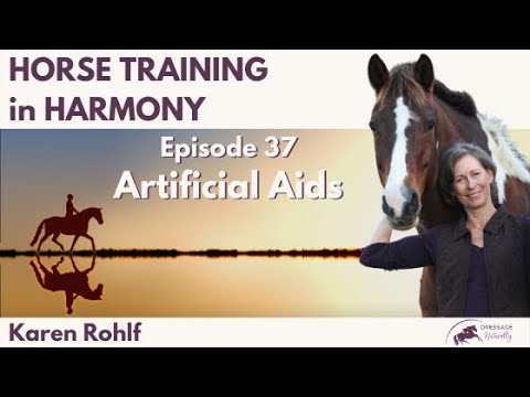 EP037: Artificial Aids