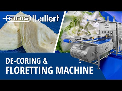 Decoring and floretting machine for cabbage, iceberg lettuce, cauliflower and broccoli