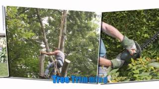 JCK Tree Care