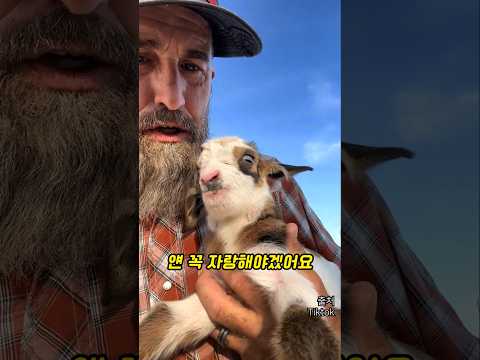 미국인들이 사랑하는 의외의 번려동물