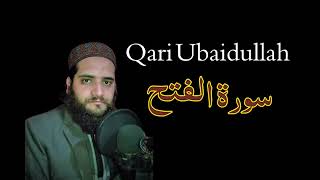 Download lagu Surah Al Fath- سورۃالفتح- khubsurat andaz ma tilawat- Recitation of holy quran  @molanaobaidullah702 mp3