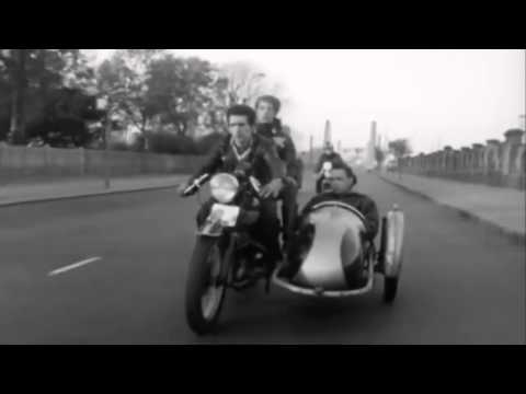 Steel Gypsy by The Herbaceous Borders