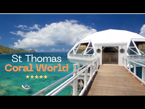🐠 Dive Into Adventure! Why Coral World Ocean Park in St. Thomas is a Must-Visit! 🌊✨