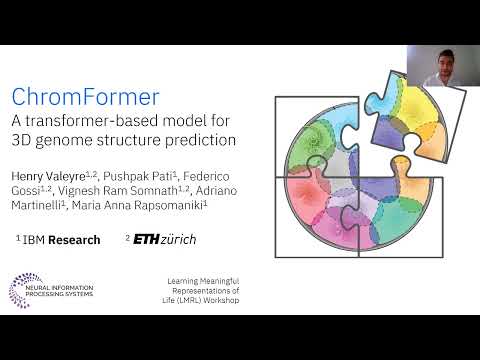 ChromFormer: A transformer-based model for 3D genome structure prediction