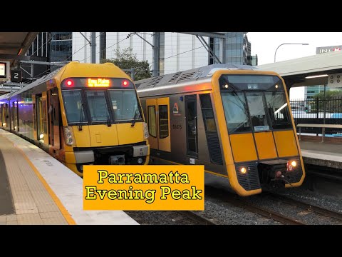 Sydney Trains Video #70 - Parramatta Evening Peak