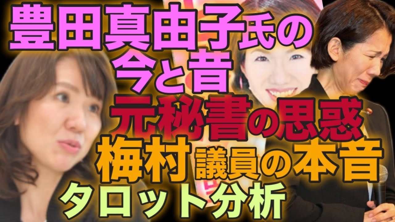 【ユング深層分析】傷ついたエリート 豊田真由子氏の「激昂」を生んだ幼少期のトラウマと最終運命(-_-) 元秘書の闇👤と梅村みずほ議員の本音
