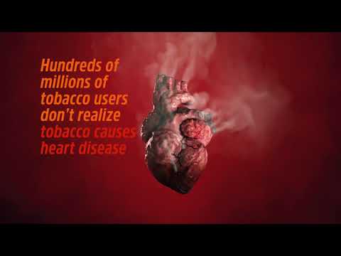 Smoking Can Cause Heart Disease and Strokes, World Health Organization ...