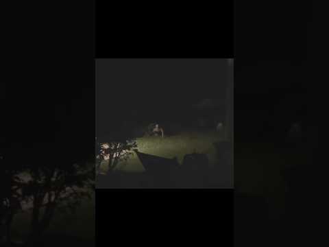 Scary TikTok Videos pt. 77