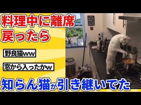 【2ch動物スレ】料理中に離席&rarr;戻ったら侵入した猫が料理してたｗｗｗｗｗ
