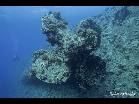 Diving in the Red Sea: Brothers, Daedalus, Elphinstone (Cinematic travel video)