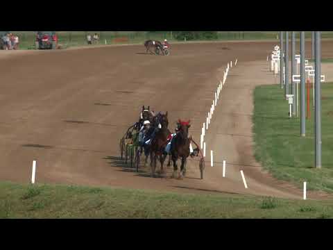 2018.08.04. 08. futam - ÖTÉVESEK NAGYDÍJA