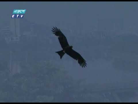 বাঙালির চেতনা জুড়েই বৈশাখ