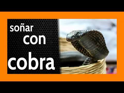 Dreaming about a Cobra 🐍 Did it bite you? ☝️ Look what happened ☝️
