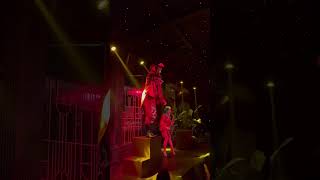 Download lagu #tropicubashow #saxophone #performance mp3