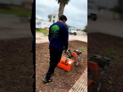 proceso del proyecto de parquizado del colegio pio XII en juan jose castelli chaco