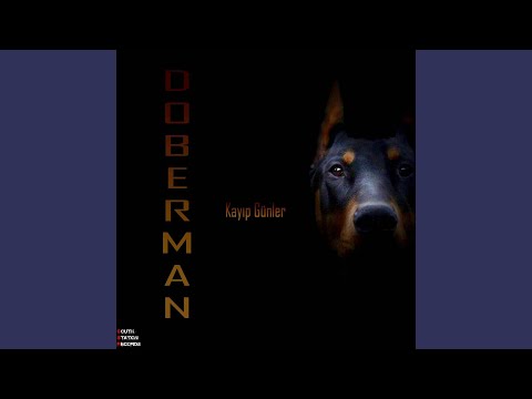 Kayıp Günler (Remastered)