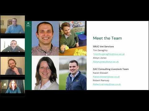 02/02/2021 Calf Crop - Ready, Steady, Bull