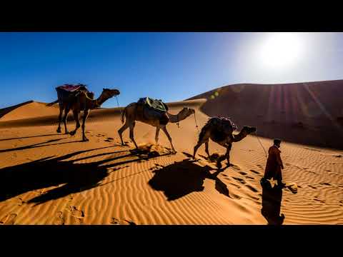 Henry Fong - Bow (ft. Don Husky) (Teknicolor Flip)