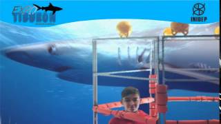 DIA 3 Expo Tiburon173