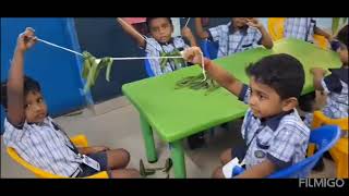 Saraswathi Vidyalaya Video