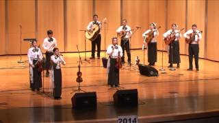 preview picture of video '2014 Texas State High School Mariachi Competition Grand Prairie Academy'