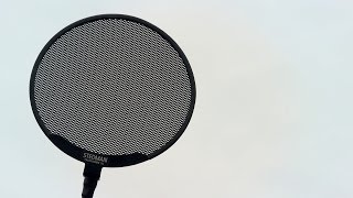 Video thumbnail for Stedman Proscreen XL Pop Filter Review by RealHomeRecording.com