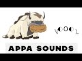 Avatar the last airbender except it's just Appa...