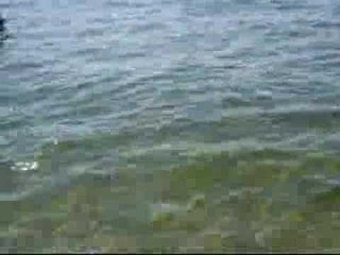 kaylene and shannon 2006